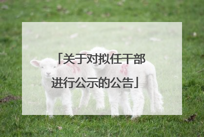 关于对拟任干部进行公示的公告