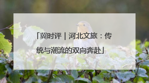 冀时评｜河北文旅：传统与潮流的双向奔赴