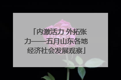 内激活力 外拓张力——五月山东各地经济社会发展观察