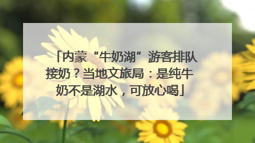 内蒙“牛奶湖”游客排队接奶？当地文旅局：是纯牛奶不是湖水，可放心喝