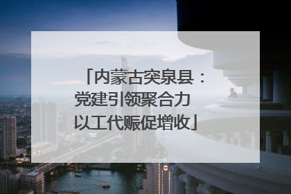 内蒙古突泉县：党建引领聚合力 以工代赈促增收