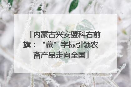 内蒙古兴安盟科右前旗：“蒙”字标引领农畜产品走向全国