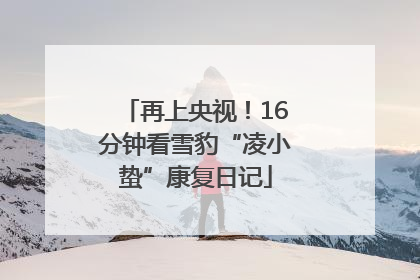 再上央视！16分钟看雪豹“凌小蛰”康复日记