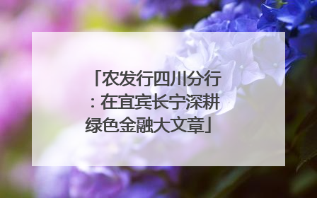 农发行四川分行：在宜宾长宁深耕绿色金融大文章