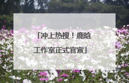冲上热搜！鹿晗工作室正式官宣