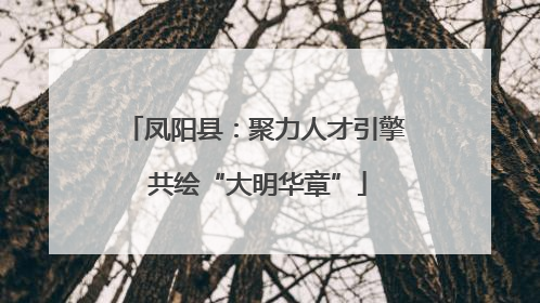 凤阳县：聚力人才引擎 共绘“大明华章”