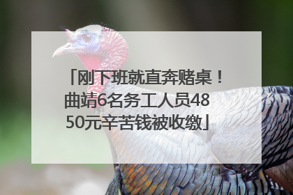刚下班就直奔赌桌！曲靖6名务工人员4850元辛苦钱被收缴
