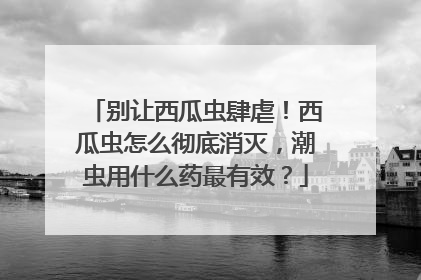 别让西瓜虫肆虐！西瓜虫怎么彻底消灭，潮虫用什么药最有效？