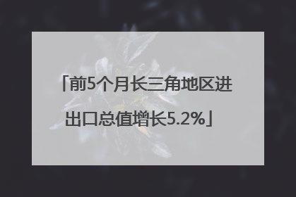 前5个月长三角地区进出口总值增长5.2%