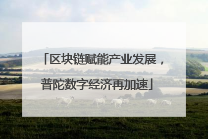 区块链赋能产业发展，普陀数字经济再加速
