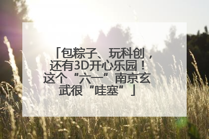 包粽子、玩科创，还有3D开心乐园！这个“六一”南京玄武很“哇塞”