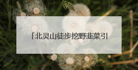 北灵山徒步挖野韭菜引发关注后续，“打野”现象已经大幅度减少