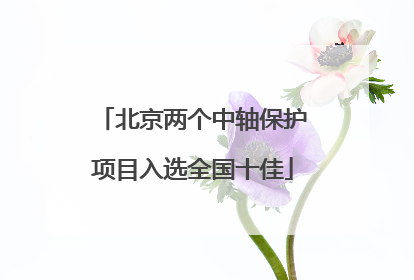 北京两个中轴保护项目入选全国十佳