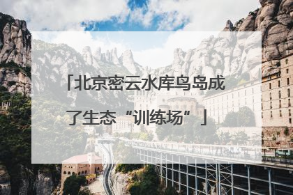 北京密云水库鸟岛成了生态“训练场”