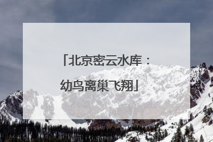 北京密云水库：幼鸟离巢飞翔