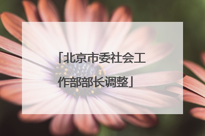 北京市委社会工作部部长调整