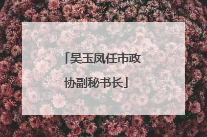 吴玉凤任市政协副秘书长