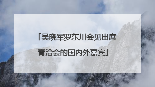 吴晓军罗东川会见出席青洽会的国内外嘉宾