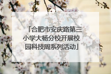 合肥市安庆路第三小学大杨分校开展校园科技周系列活动