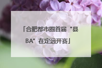 合肥都市圈首届“县BA”在定远开赛