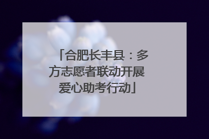 合肥长丰县：多方志愿者联动开展爱心助考行动