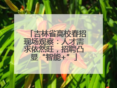 吉林省高校春招现场观察：人才需求依然旺，招聘凸显“智能+”