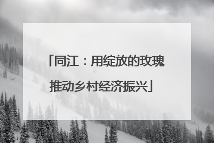 同江：用绽放的玫瑰 推动乡村经济振兴