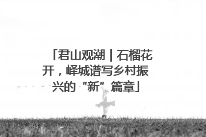 君山观潮｜石榴花开，峄城谱写乡村振兴的“新”篇章