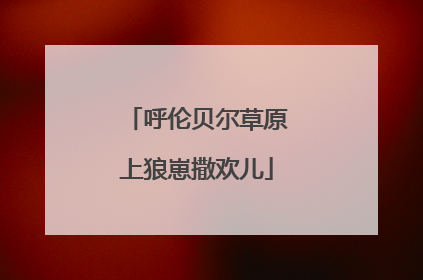 呼伦贝尔草原上狼崽撒欢儿