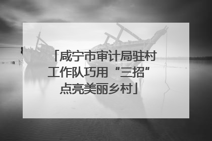 咸宁市审计局驻村工作队巧用“三招”点亮美丽乡村