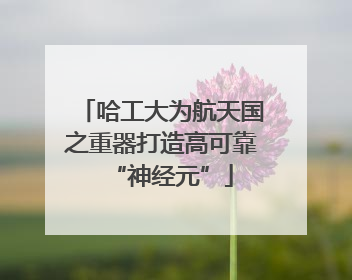 哈工大为航天国之重器打造高可靠“神经元”
