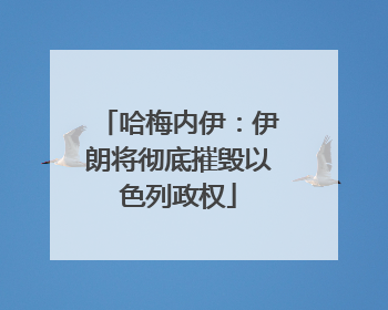 哈梅内伊：伊朗将彻底摧毁以色列政权