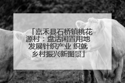 嘉禾县石桥镇桃花源村：盘活闲置用地发展针织产业 织就乡村振兴新图景
