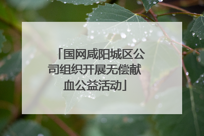 国网咸阳城区公司组织开展无偿献血公益活动