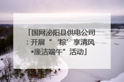 国网泌阳县供电公司：开展“‘粽’享清风 •廉洁端午”活动