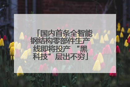 国内首条全智能钢结构零部件生产线即将投产 “黑科技”层出不穷