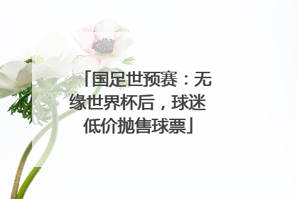 国足世预赛：无缘世界杯后，球迷低价抛售球票