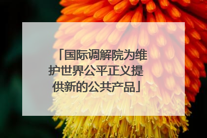 国际调解院为维护世界公平正义提供新的公共产品