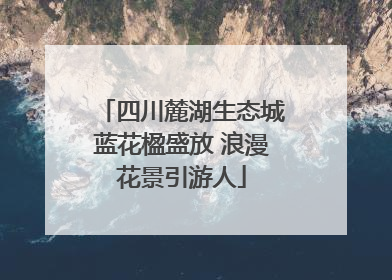 四川麓湖生态城蓝花楹盛放 浪漫花景引游人