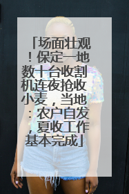 场面壮观！保定一地数十台收割机连夜抢收小麦，当地：农户自发，夏收工作基本完成