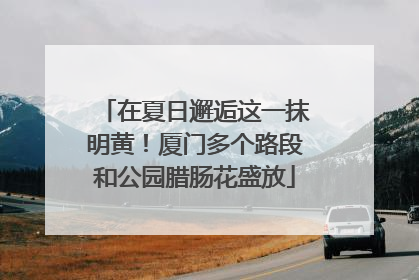 在夏日邂逅这一抹明黄！厦门多个路段和公园腊肠花盛放