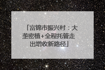 富锦市振兴村：大垄密植+全程托管走出增收新路径