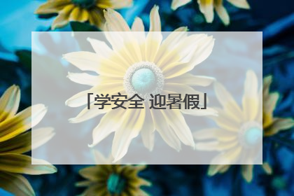 学安全 迎暑假