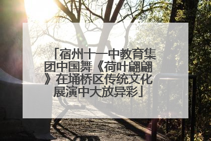 宿州十一中教育集团中国舞《荷叶翩翩》在埇桥区传统文化展演中大放异彩