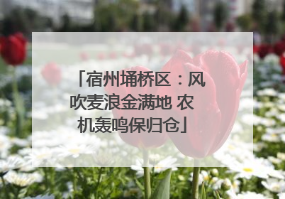 宿州埇桥区：风吹麦浪金满地 农机轰鸣保归仓