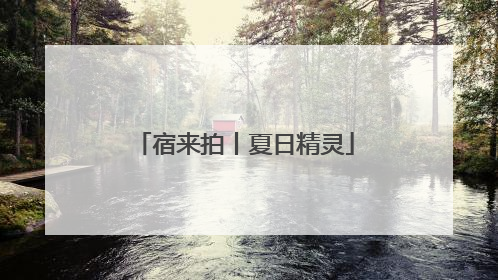 宿来拍丨夏日精灵