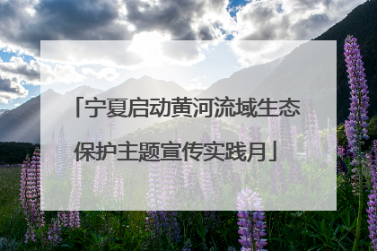 宁夏启动黄河流域生态保护主题宣传实践月