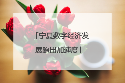 宁夏数字经济发展跑出加速度