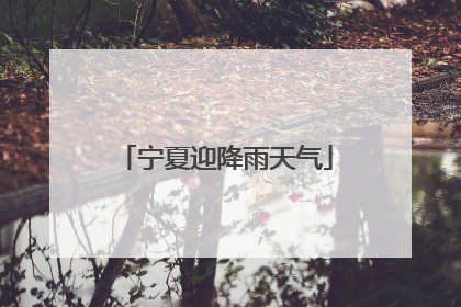宁夏迎降雨天气
