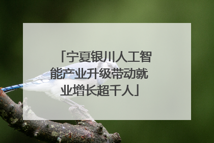 宁夏银川人工智能产业升级带动就业增长超千人